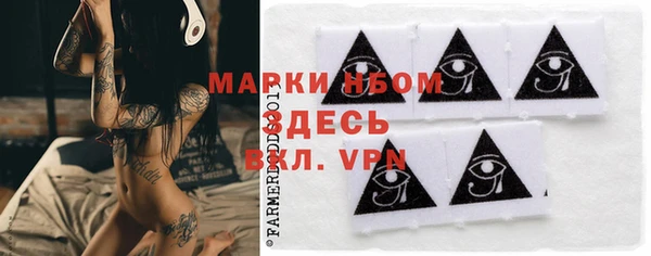 ГАЛЛЮЦИНОГЕННЫЕ ГРИБЫ Алзамай