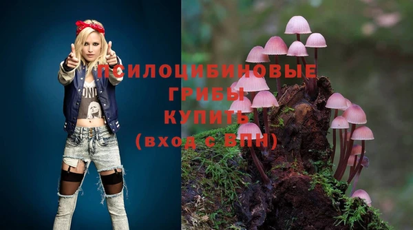 трава Абинск