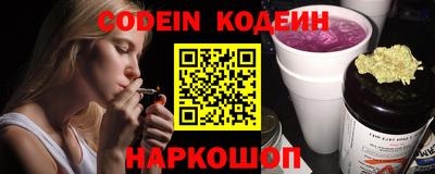 гашик Гай