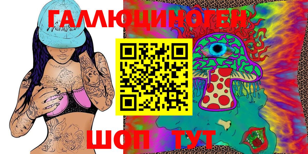 Псилоцибиновые грибы Cubensis Камень-на-Оби